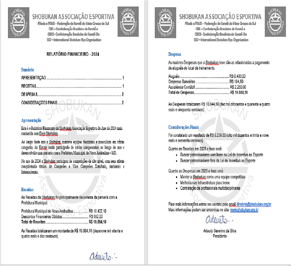 RELATÓRIO FINANCEIRO 2024